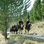 With Stables, Horses And The Ability To Make Horseback Riding Feriehus Monte Santa Maria Tiberina