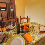 With Stables, Horses And The Ability To Make Horseback Riding * Monte Santa Maria Tiberina