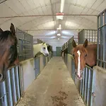 With Stables, Horses And The Ability To Make Horseback Riding Feriehus