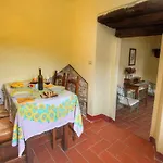 Feriehus With Stables, Horses And The Ability To Make Horseback Riding Monte Santa Maria Tiberina