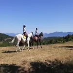 בית נופש With Stables, Horses And The Ability To Make Horseback Riding Monte Santa Maria Tiberina