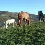 With Stables, Horses And The Ability To Make Horseback Riding * Monte Santa Maria Tiberina