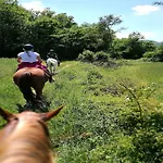 Feriehus With Stables, Horses And The Ability To Make Horseback Riding *