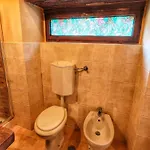 With Stables, Horses And The Ability To Make Horseback Riding Monte Santa Maria Tiberina