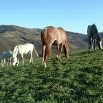 With Stables, Horses And The Ability To Make Horseback Riding בית נופש *