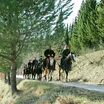 With Stables, Horses And The Ability To Make Horseback Riding * Monte Santa Maria Tiberina