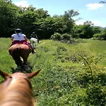 With Stables, Horses And The Ability To Make Horseback Riding בית נופש Monte Santa Maria Tiberina