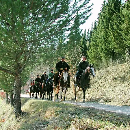 With Stables, Horses And The Ability To Make Horseback Riding Дом отдыха Monte Santa Maria Tiberina