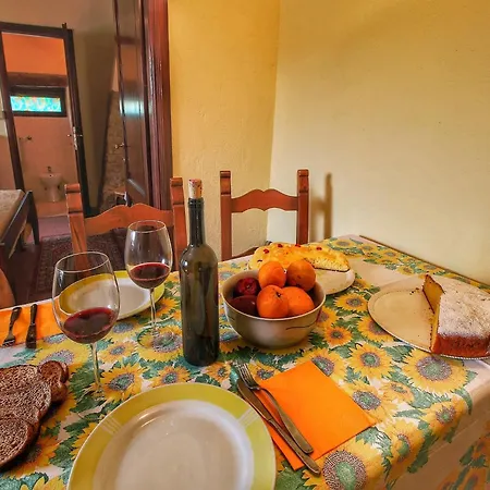 With Stables, Horses And The Ability To Make Horseback Riding * Monte Santa Maria Tiberina