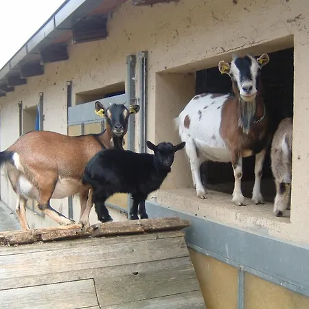 Дом отдыха With Stables, Horses And The Ability To Make Horseback Riding Monte Santa Maria Tiberina