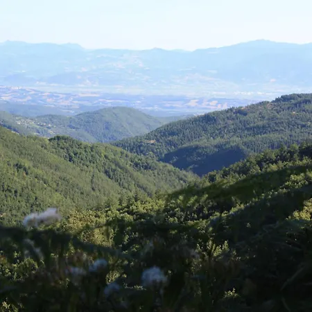 With Stables Horses And The Ability To Make Horseback Riding * Monte Santa Maria Tiberina