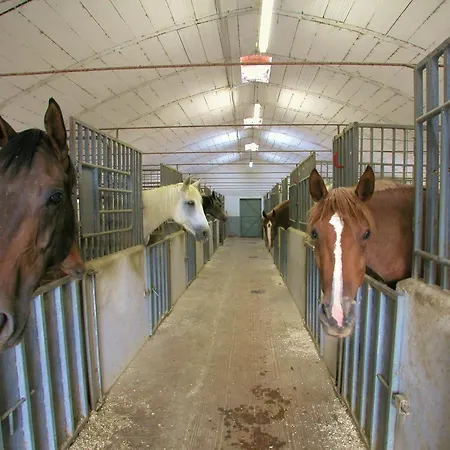 With Stables, Horses And The Ability To Make Horseback Riding Дом отдыха