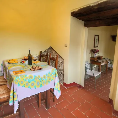 Дом отдыха With Stables, Horses And The Ability To Make Horseback Riding Monte Santa Maria Tiberina