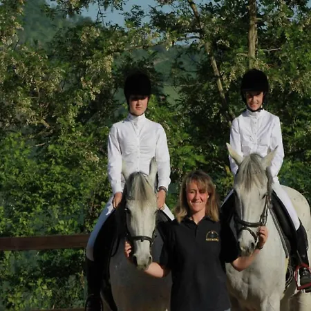 With Stables, Horses And The Ability To Make Horseback Riding Monte Santa Maria Tiberina