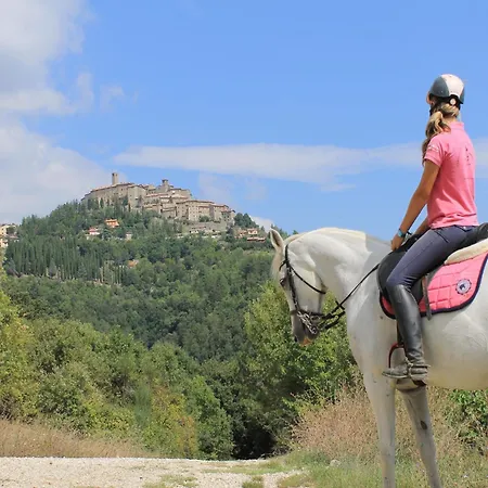 With Stables, Horses And The Ability To Make Horseback Riding