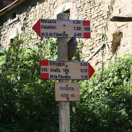 With Stables Horses And The Ability To Make Horseback Riding Vakantiehuis