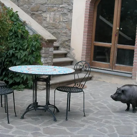 Hébergement de vacances With Stables, Horses And The Ability To Make Horseback Riding