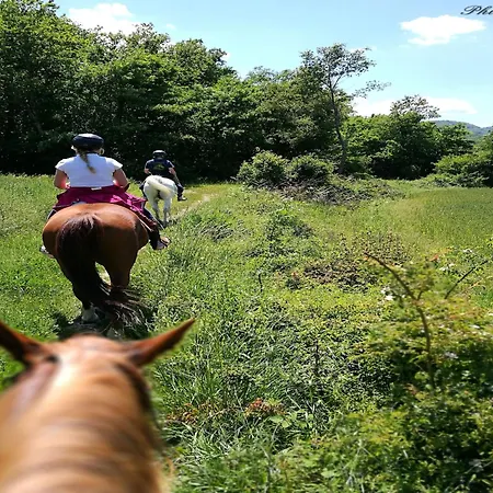 Tatil Evi With Stables, Horses And The Ability To Make Horseback Riding *