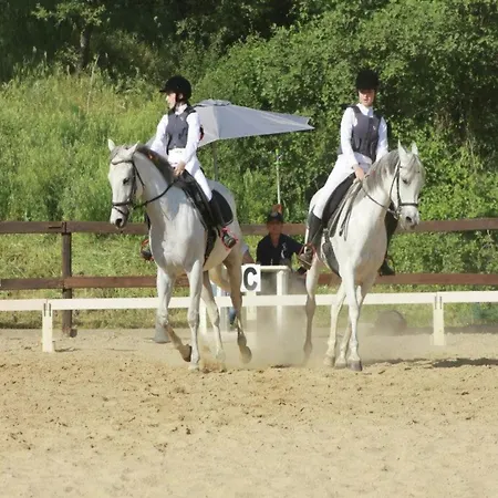 With Stables Horses And The Ability To Make Horseback Riding Vakantiehuis Monte Santa Maria Tiberina