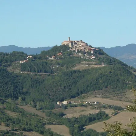 Дом отдыха With Stables, Horses And The Ability To Make Horseback Riding Monte Santa Maria Tiberina