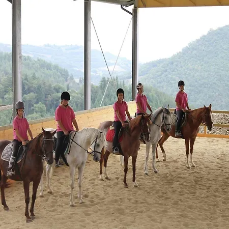 Tatil Evi With Stables, Horses And The Ability To Make Horseback Riding Monte Santa Maria Tiberina