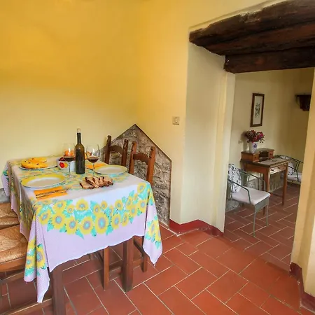 With Stables, Horses And The Ability To Make Horseback Riding * Monte Santa Maria Tiberina