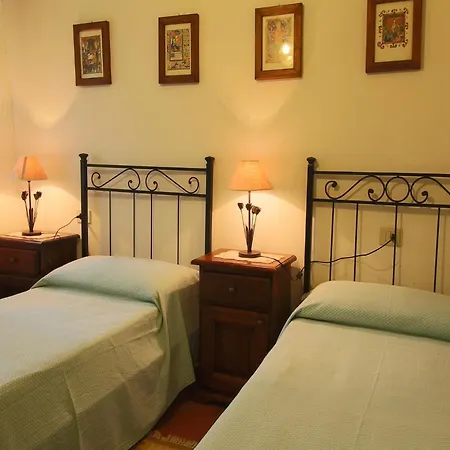 With Stables, Horses And The Ability To Make Horseback Riding Monte Santa Maria Tiberina