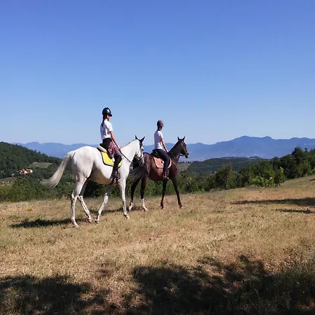 With Stables, Horses And The Ability To Make Horseback Riding Tatil Evi *
