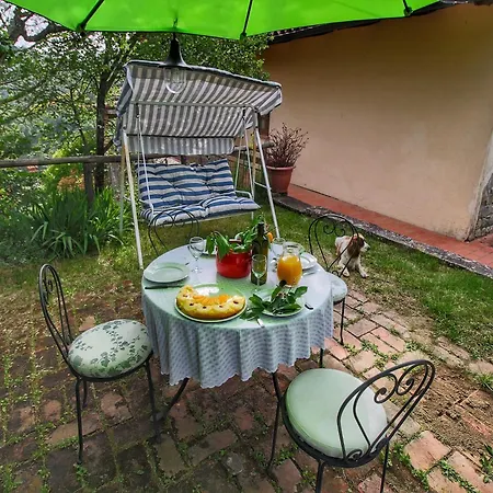 With Stables, Horses And The Ability To Make Horseback Riding Monte Santa Maria Tiberina