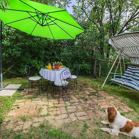 With Stables, Horses And The Ability To Make Horseback Riding *