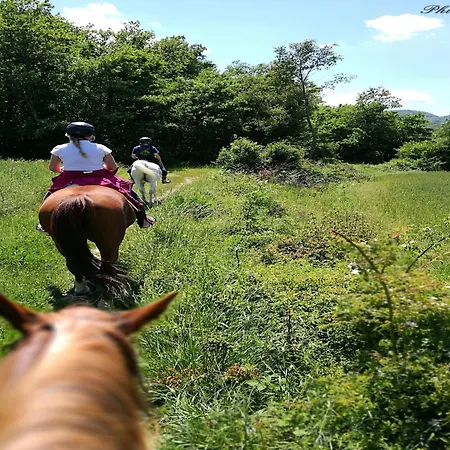 With Stables, Horses And The Ability To Make Horseback Riding Tatil Evi Monte Santa Maria Tiberina
