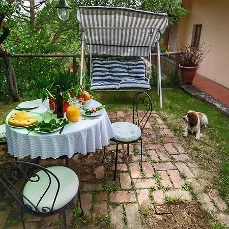 With Stables, Horses And The Ability To Make Horseback Riding Tatil Evi Monte Santa Maria Tiberina