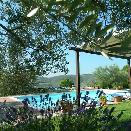 With Stables, Horses And The Ability To Make Horseback Riding