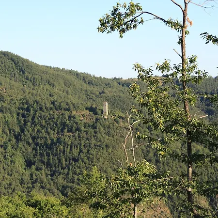 With Stables, Horses And The Ability To Make Horseback Riding Hébergement de vacances Monte Santa Maria Tiberina